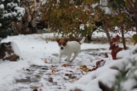 IMG 4801